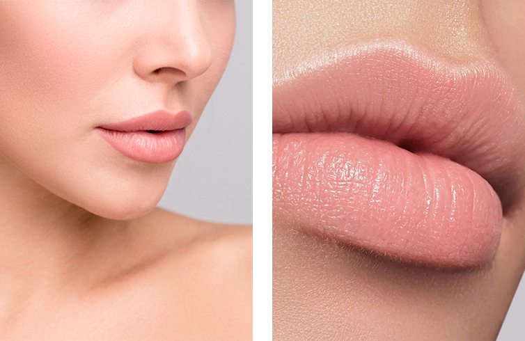 Perfilados de labios